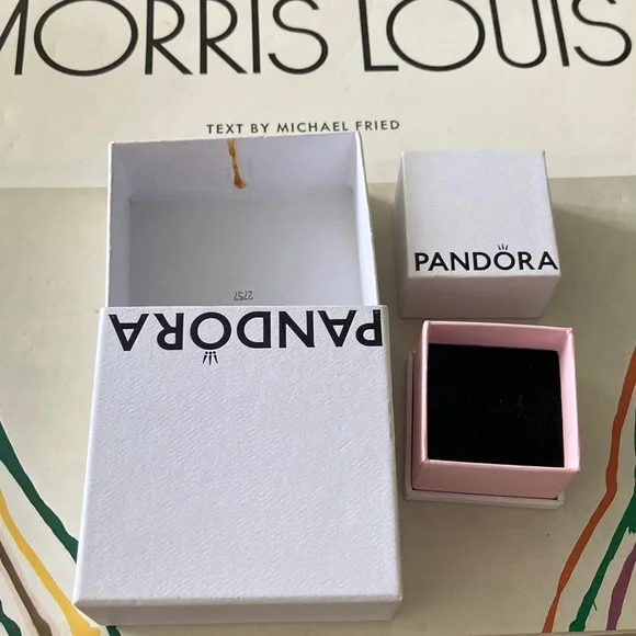 Pandora Elegant White Gift Boxes - Picture 4 of 4